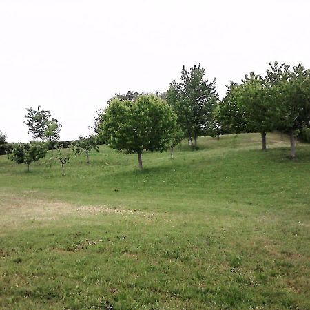 Casa In Campagna _Lori Volta Mantovana Ngoại thất bức ảnh